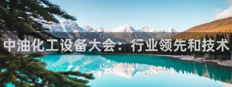 新宝gg创造奇迹为什么登录不了了