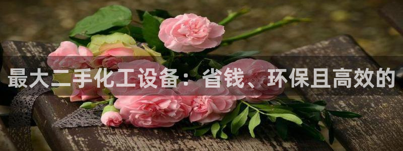 新宝gg上线被抓