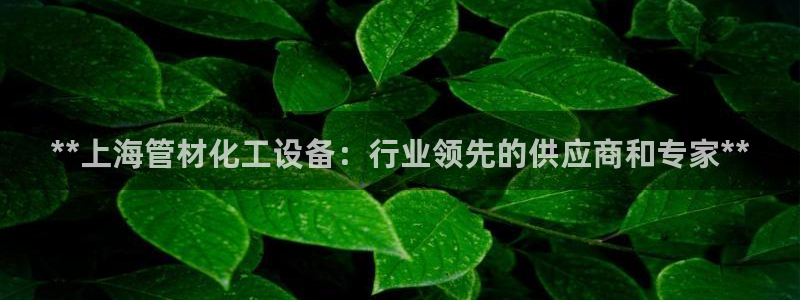 新宝gg怎么登录不了