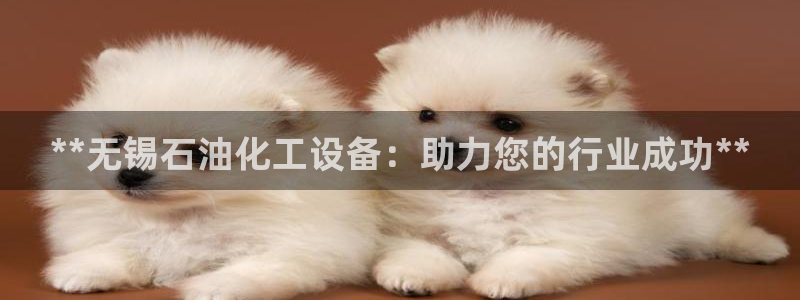 新宝gg账号注册平台
