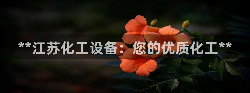 新宝gg创造奇迹登录注册玩法