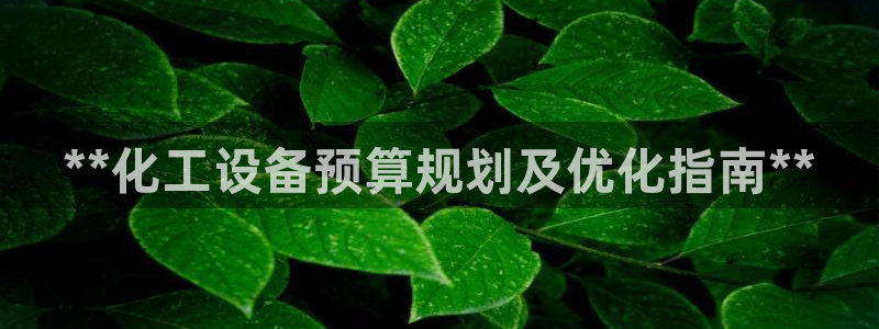 新宝gg创造奇迹登录入口