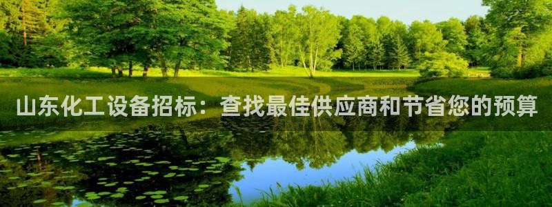 新宝gg手机版登录官网