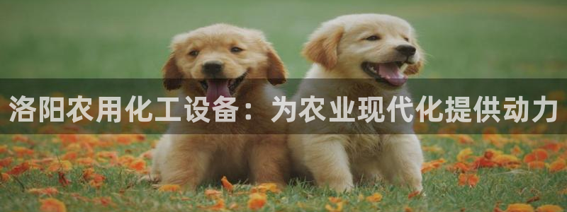 新宝gg注册网址