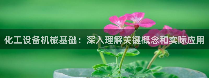 新宝GG创造奇迹