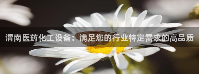 新宝gg平台注册登录指南