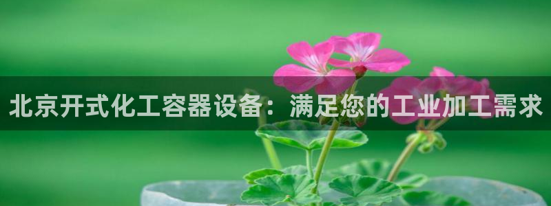 新宝gg平台注册网址