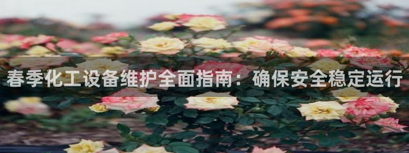 新宝gg平台—创造奇迹登录