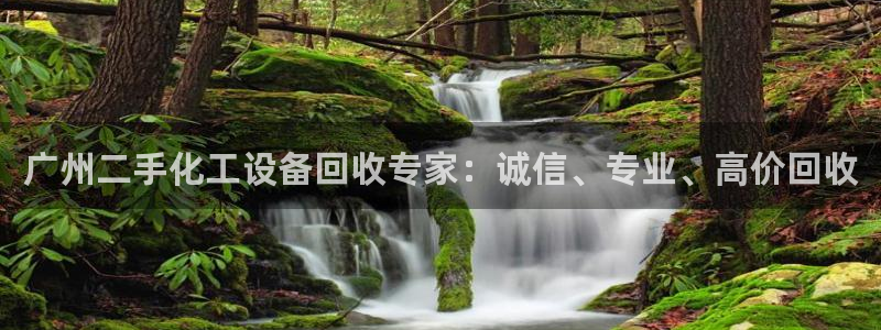 新宝gg平台是否合法