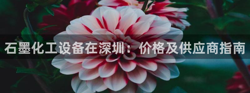 新宝gg游戏平台客服