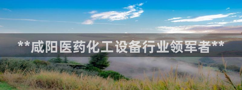 新宝gg创造奇迹手机登录