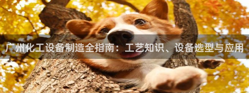 新宝gg平台—创造奇迹登录首页