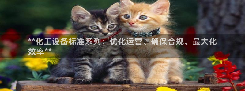 新宝GG平台电话