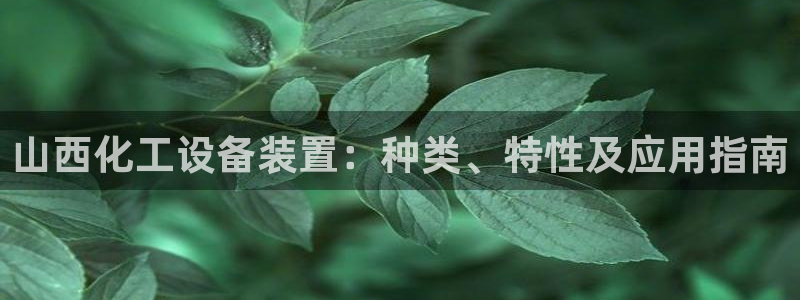 新宝gg平台登录手机版