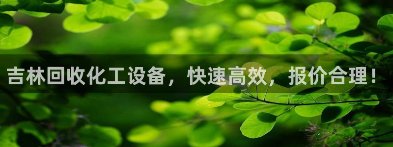 新宝gg案件