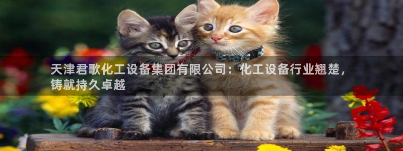 新宝gg登录不上去了了