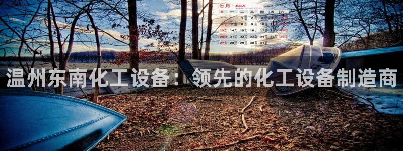 新宝gg平台注册?