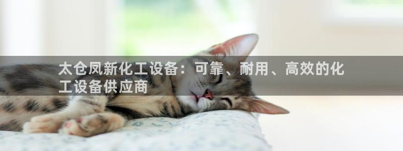 新宝gg官网登录代理