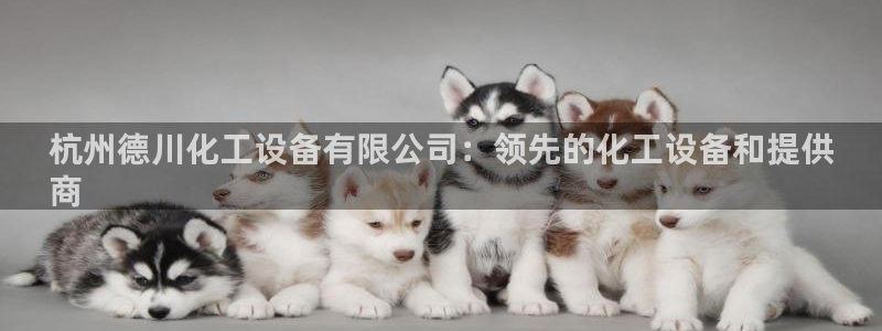新宝gg平台登录手机版