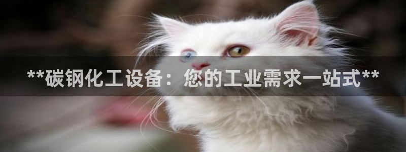 新宝gg一注册