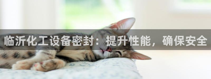 新宝gg登录不上去了了