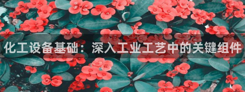 新宝gg手机版登录官网
