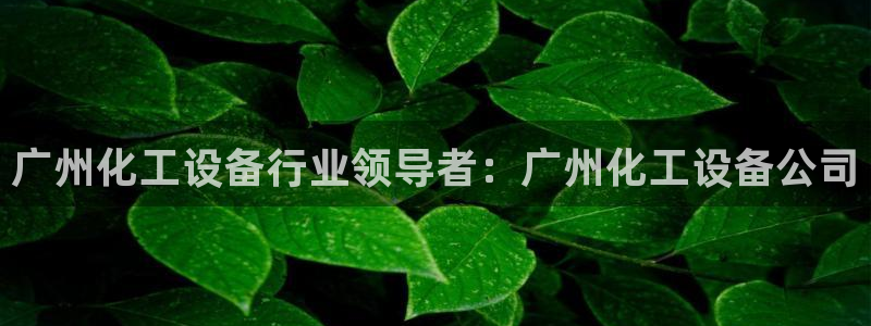 新宝gg平台注册网址