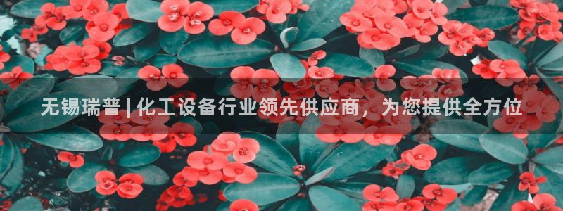 新宝gg案件