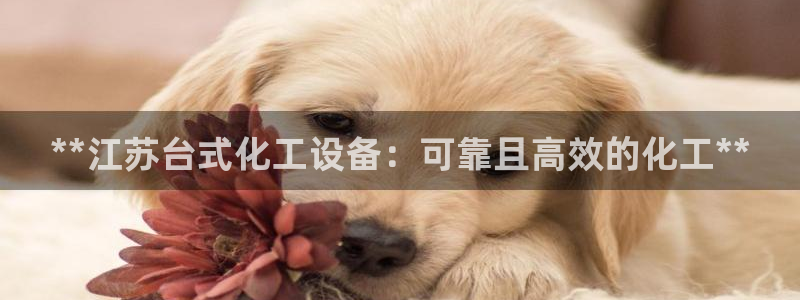 新宝gg登录不了是什么原因