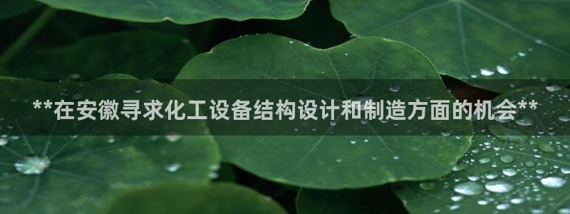 新宝gg创造奇迹平台总代理