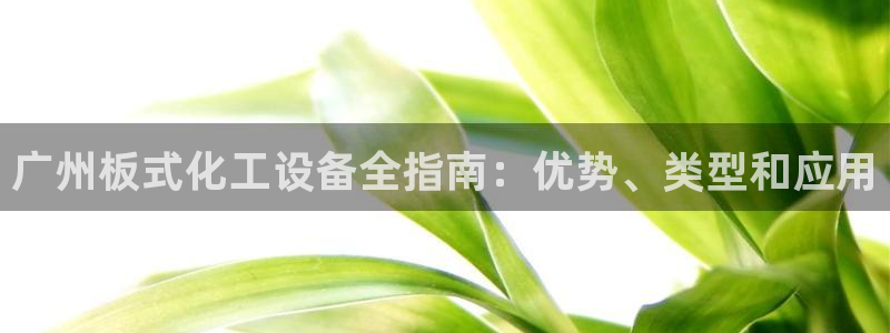 新宝gg创造奇迹登录入口
