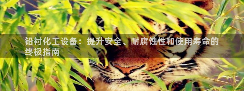 新宝gg—创造奇迹登录注册