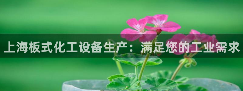 新宝gg真的能赚钱么
