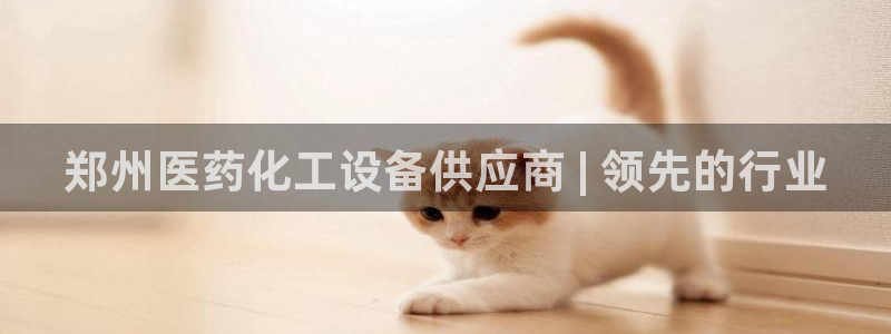 新宝gg平台注册
