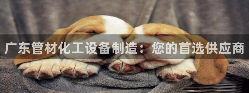 新宝gg6—创造奇迹官方登录