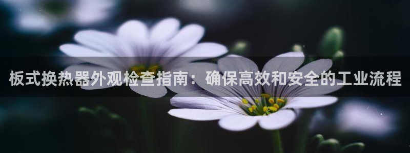 新宝gg注册网址