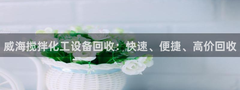 新宝gg—创造奇迹代理登录