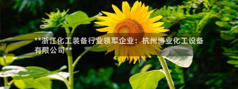 新宝gg怎么退钱