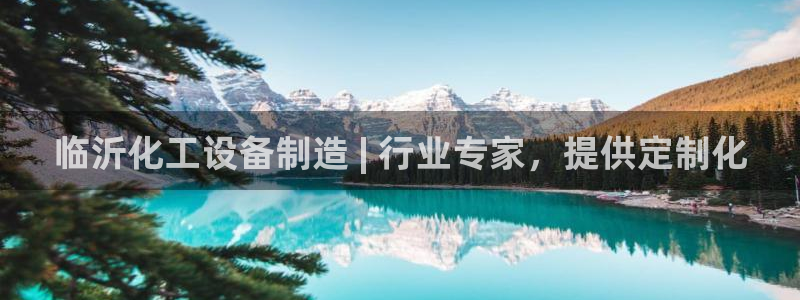 新宝gg案件