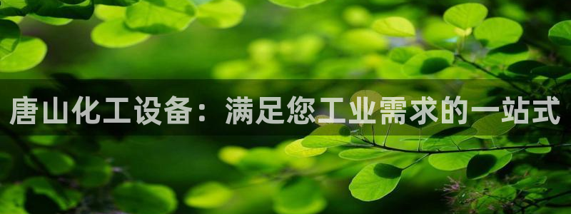 新宝gg官网登录地址