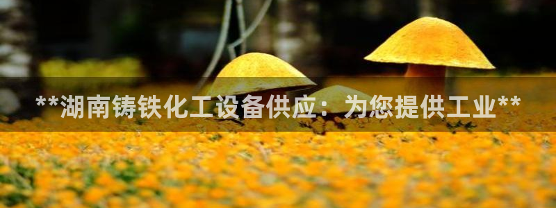 新宝gg一创造奇迹用户登录