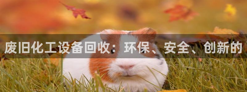 新宝gg平台—创造奇迹登录