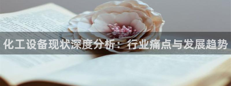 新宝gg游戏平台客服