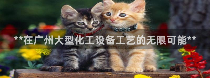 新宝GG平台电话