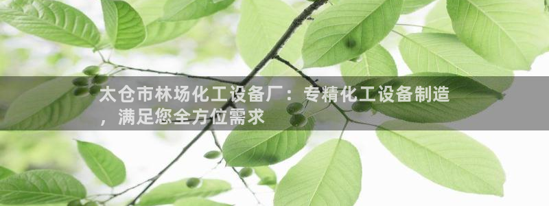 新宝gg创造奇迹登录注册玩法