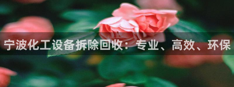 新宝gg平台—创造奇迹
