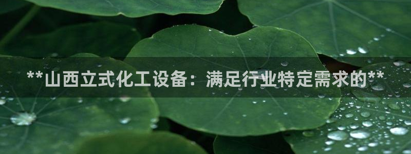 新宝gg案件