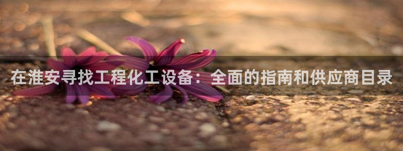 新宝gg登录入口