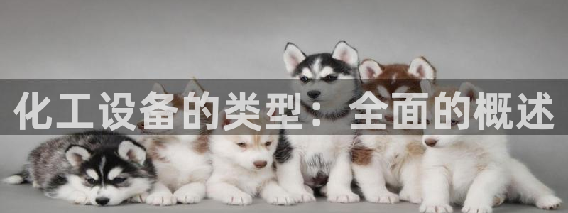 新宝gg平台―创造奇迹登录