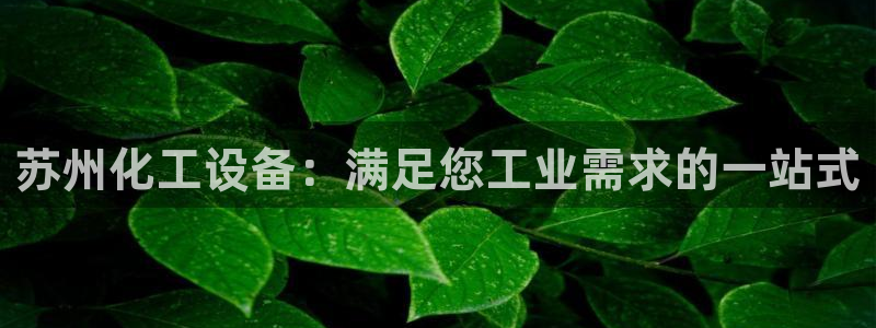 新宝gg官网登录地址